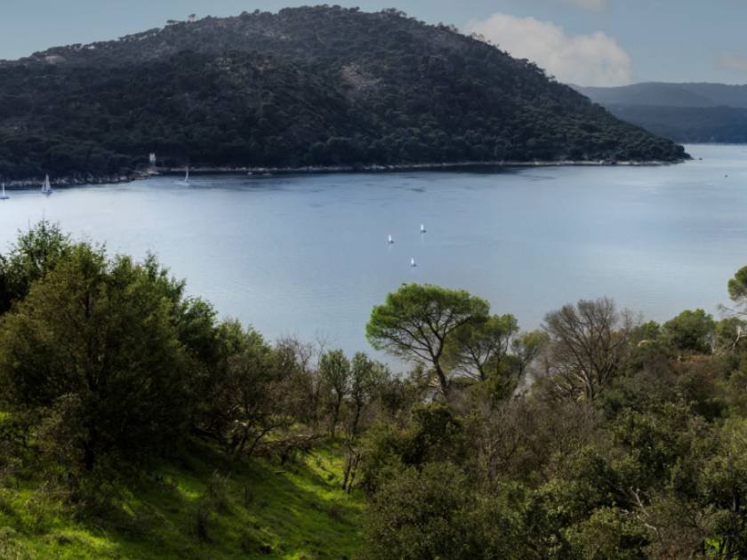 Rincones verdes y zonas de baño cerca de Boadilla para refrescarte este verano